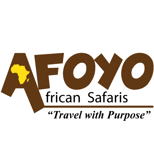 Afoyo_logo_1