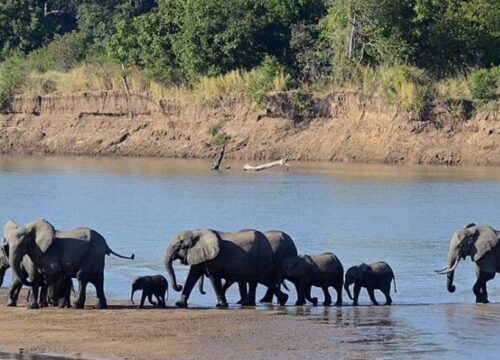 Blue Nile Trails: Discover the Wonder of Culture & Wildlife in Africa