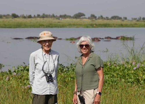 10 Day Uganda Tour | Discover the Pearl of Africa