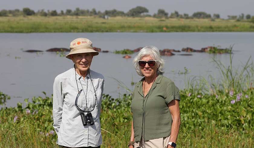 Afoyo-African-Safaris_0