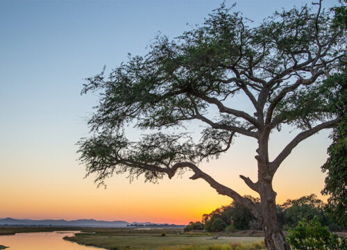 4 Day Lower Zambezi Canoe Safari Experience