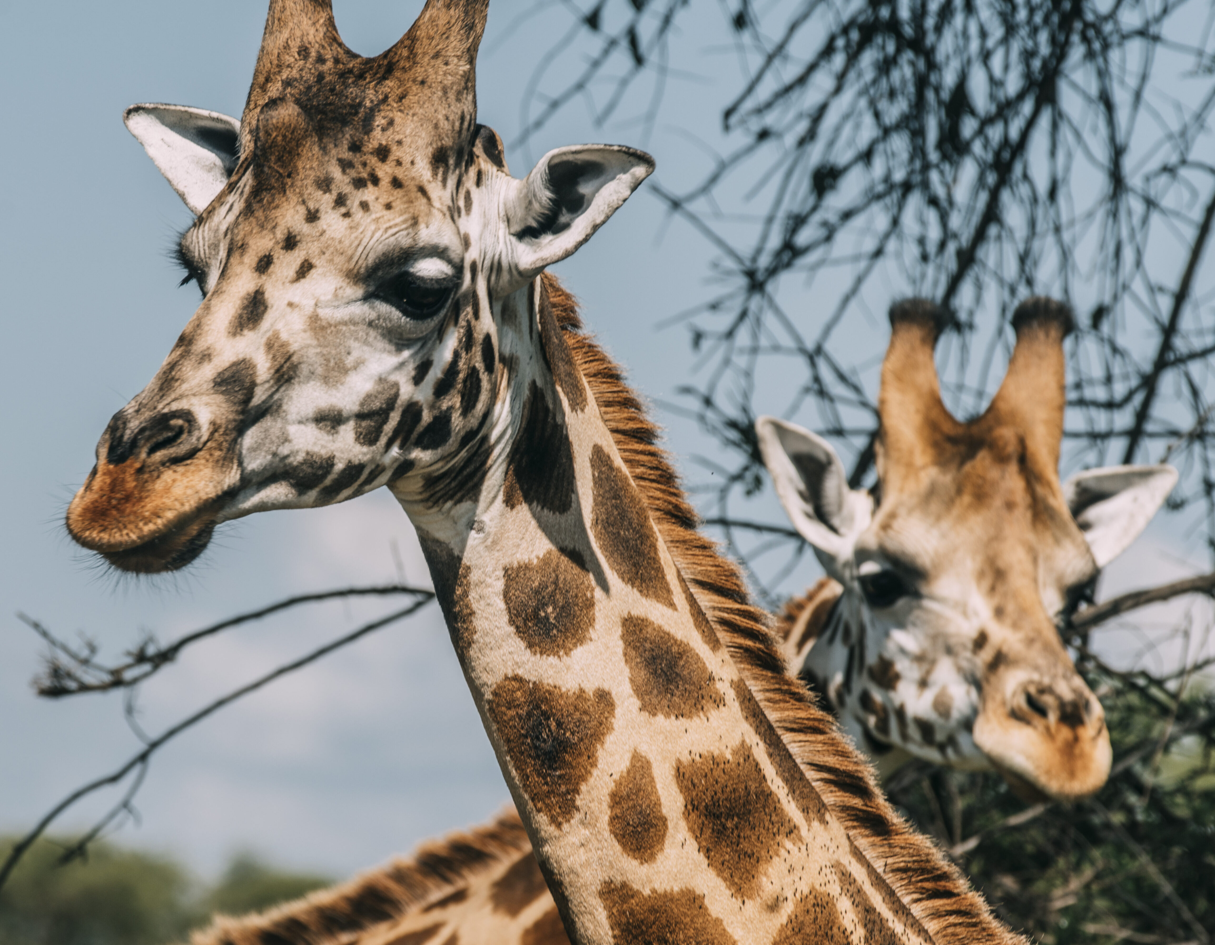 Family Tour in Rwanda