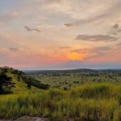 Lake Mburo National Park