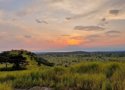 Lake Mburo National Park
