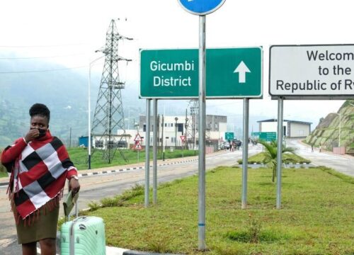 Rwanda and Uganda Gorilla Trekking