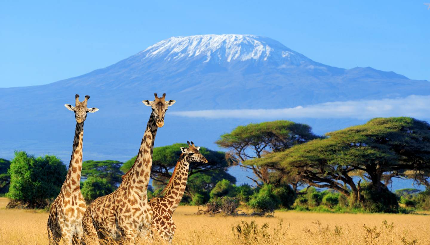 Kenya Safari Packages