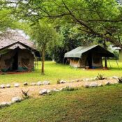 Red Chilli Rest Camp