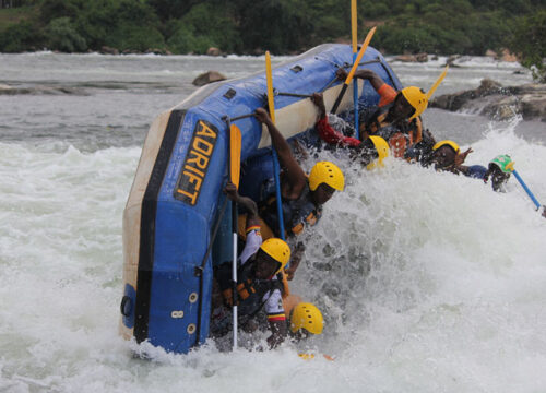 12 Days Budget Bwindi Gorilla Trekking