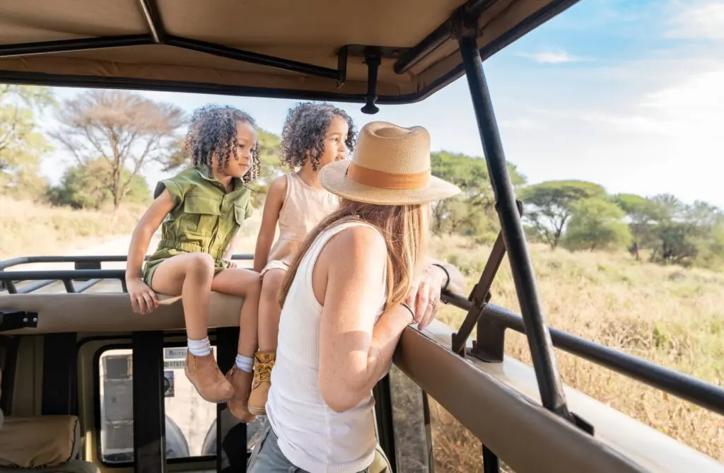 Tanzania luxury fly-in safari