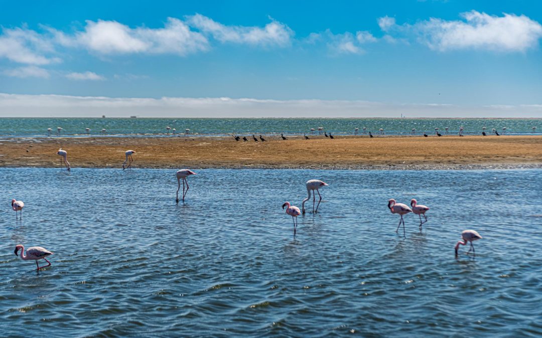 Lakes in Africa