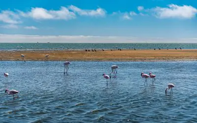 Lakes in Africa