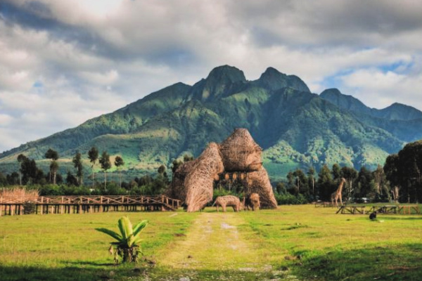 image_safari_12_days_bwindi