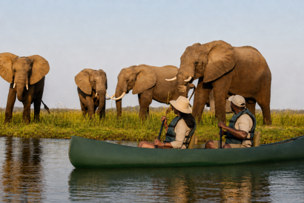 image_safari_12_days_bwindi