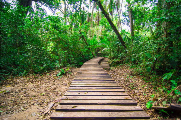 image_safari_12_days_bwindi