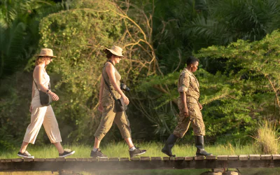 How Much Does an African Safari Package Cost?
