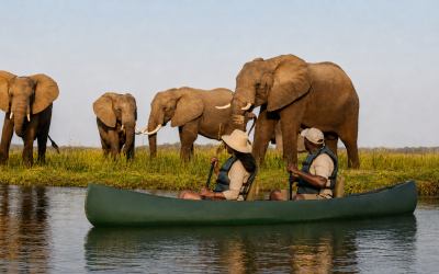 4 Day Lower Zambezi Canoe Safari Experience