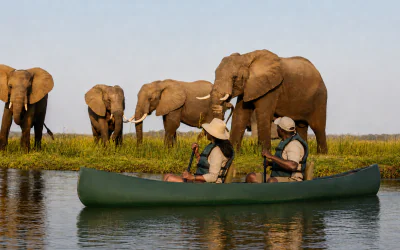 4 Day Lower Zambezi Canoe Safari Experience