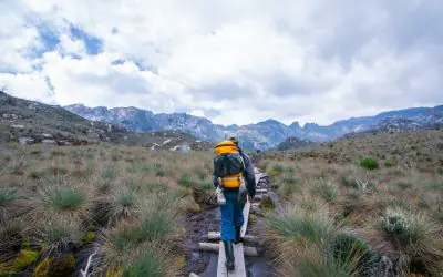 Rwenzori Mountains National Park