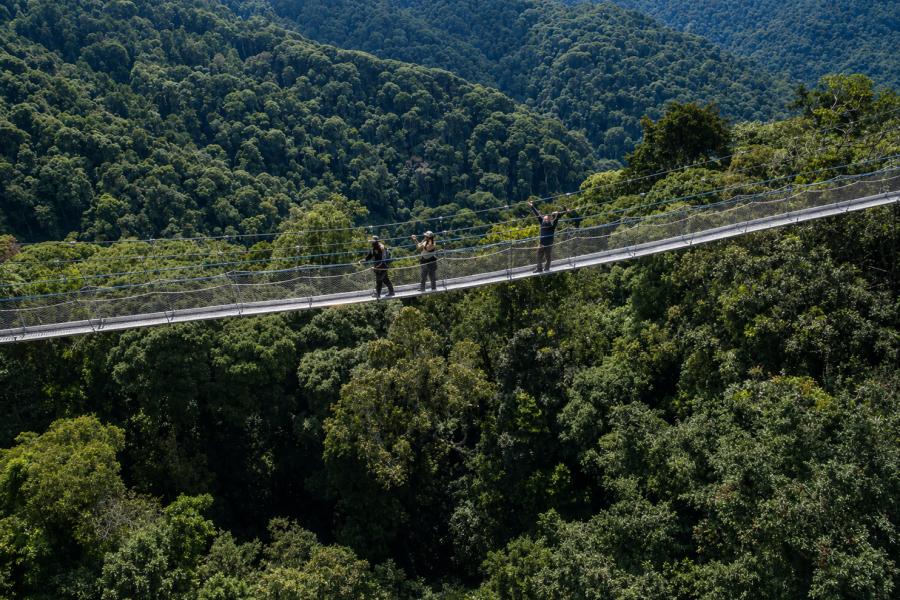 Nyungwe Forest National Park