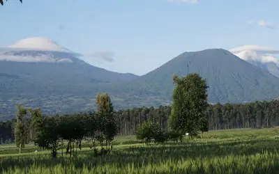 2 Days Gorilla Trekking In Rwanda