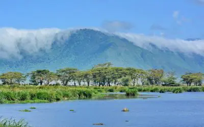 Ngorongoro Crater Safari Tour