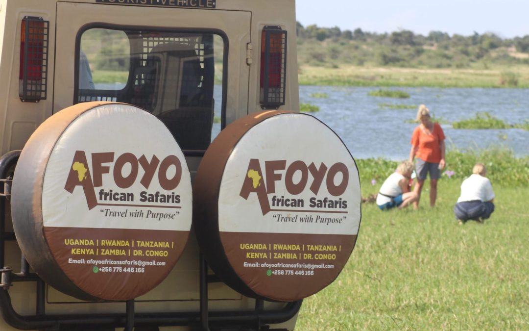Africa Safari Trips: Uganda, Rwanda, Tanzania, Kenya and More