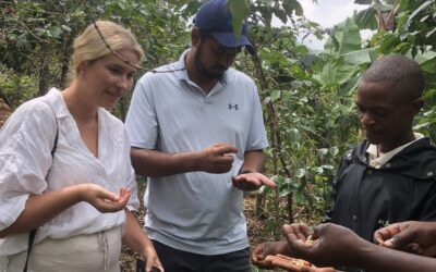 Coffee Tour in Rwanda