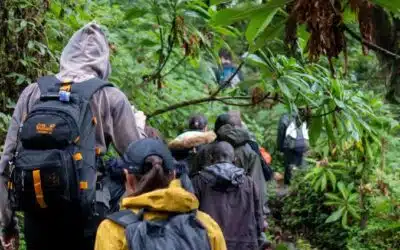Mount Bisoke Rwanda